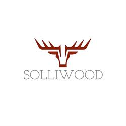 Solliwood AS