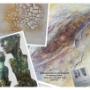 # 3