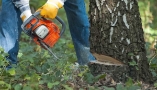 rimeligst-trefelling-i-stavanger
