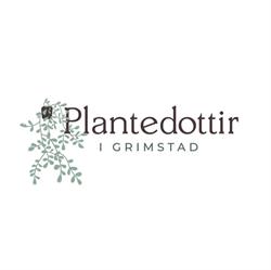 Plantedottir AS