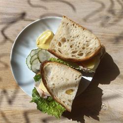 Babbo Collective Frysja