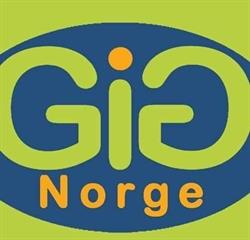 Gig Norge Gros & Trade AS