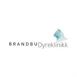 Brandbu Dyreklinikk