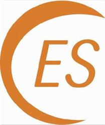 Es Revisjon AS