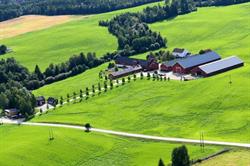 Spangen gård
