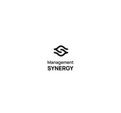 Management Synergy AS