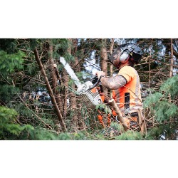 Oslo Trefelling