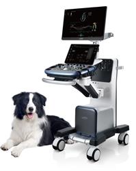 MindVet