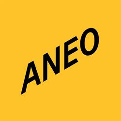 Aneo Build