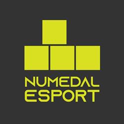 Numedal Esport