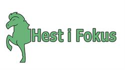 Hest i fokus AS
