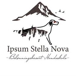 Ipsum Stella Nova As