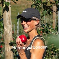 Hardangerbonden - eplemost og sider