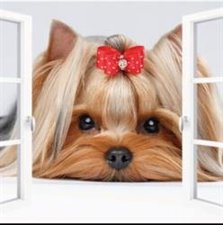 LUX Hundefrisør Agnes
