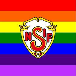 Nedre Sigdal IF