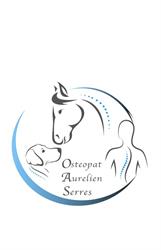 Osteopat Aurelien Serres - Sandefjord / Froland