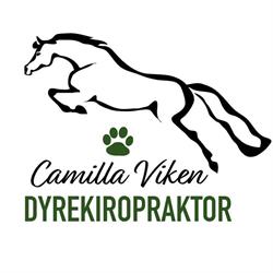 Dyrekiropraktor Camilla Viken