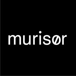 Mur i Sør AS