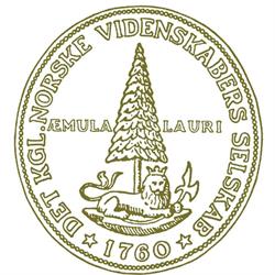 Det Kongelige Norske Videnskabers Selskab (DKNVS)