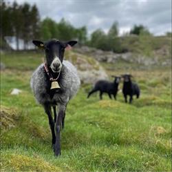 Versland Gård