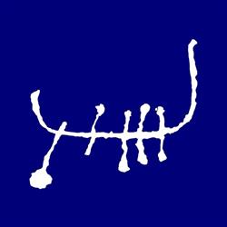 Per Storemyr Archaeology & Conservation