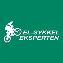 Elsykkeleksperten