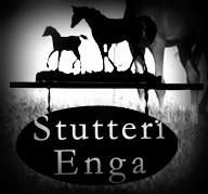 Stutteri Enga