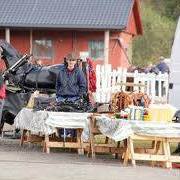 Holmøyane Seletøy