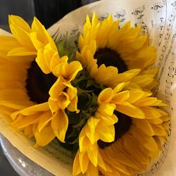 Mitt Blomstermakeri