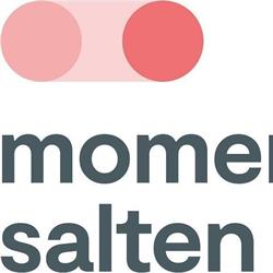 Moment Salten AS