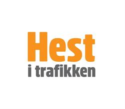 Hest i trafikken