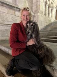 Gullverket veterinærkontor