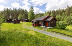 Skogcamping Elverum