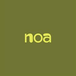 Noa Asian Food
