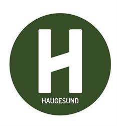 Holdbart (Haugesund)
