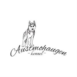 Austmohaugen Kennel  (Ida Mari Skavhaug)