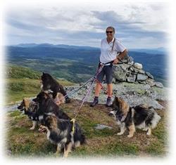 Kennel Fjellvandreren - Aktivitetskalender