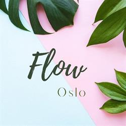 Flow_Oslo