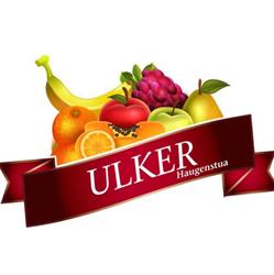 ULKER As Haugenstua