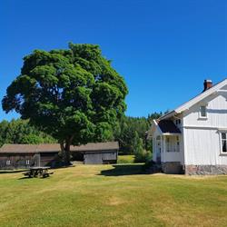 Kurøen Bygdetun