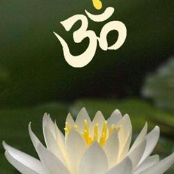 Yoga Vital Studio