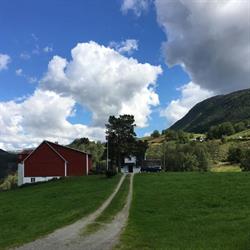 Myra i Hyen