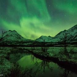 Nakkevatnet Grunneierlag SA