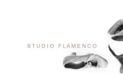 Studio Flamenco