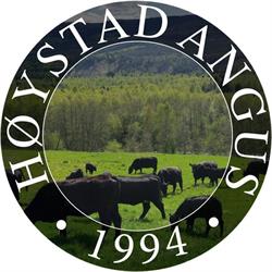 Høystad Angus