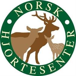 Norsk Hjortesenter - vakkert, vilt og levende