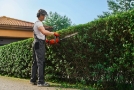 Trimming-av-kort-hekk-i-Stavanger