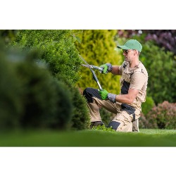 Stavanger Hekktrimming