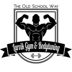Larvik Gym