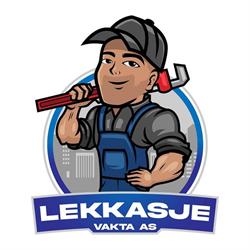 Lekkasje vakta AS
